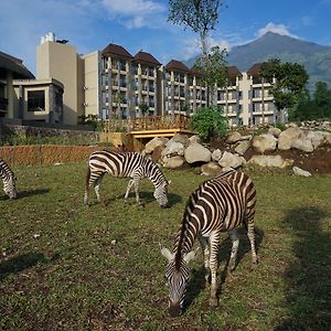 Baobab Safari Resort